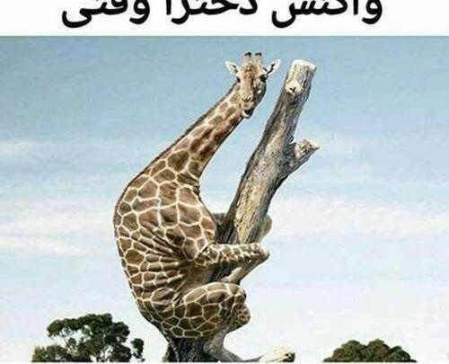 عکس طنز خنده دار خفن