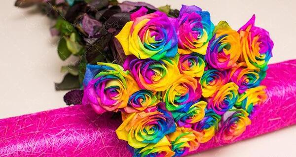 عکس گل رز های رنگی