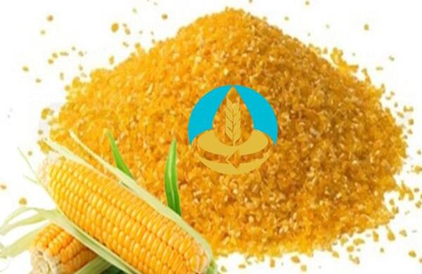 عکس گلوتن ذرت