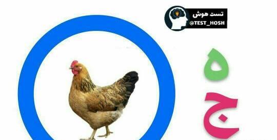 عکس تصاویر مفهومی چیست