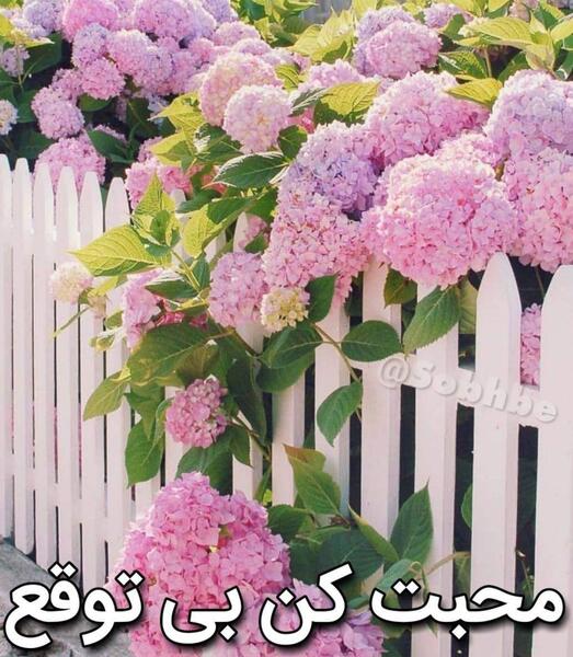 تصاویر عکس نوشته ظهرتون ظهر بخیر