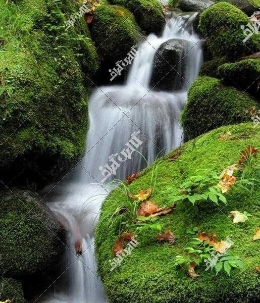 عکس منظره زیبا و رویایی