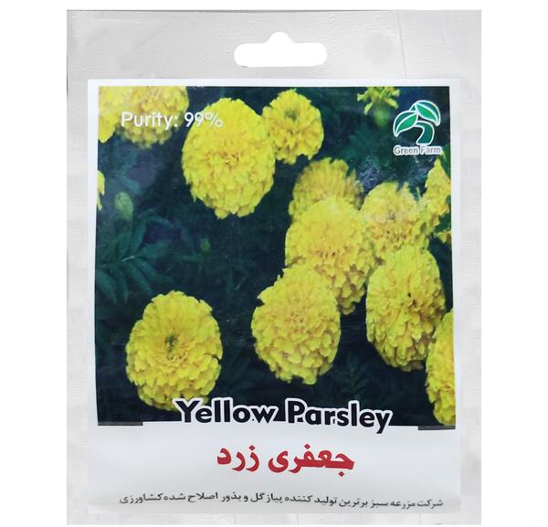عکس گل لاله جعفری