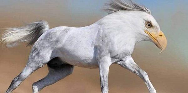 عکس حیوانات تخیلی