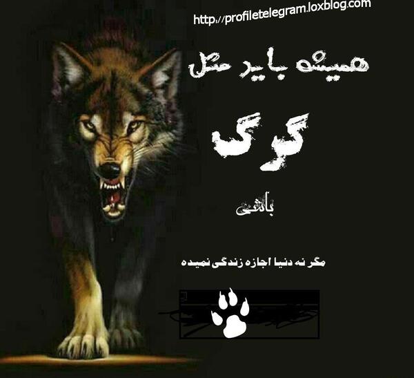 عکس گرگ غمگین برای پروفایل