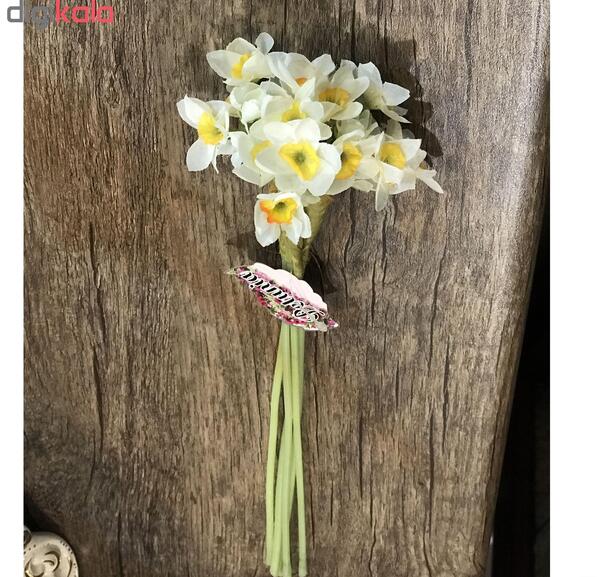 عکس گل نرگس برای هدیه