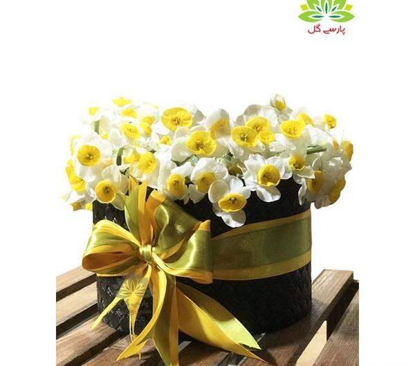 عکس گل نرگس برای هدیه