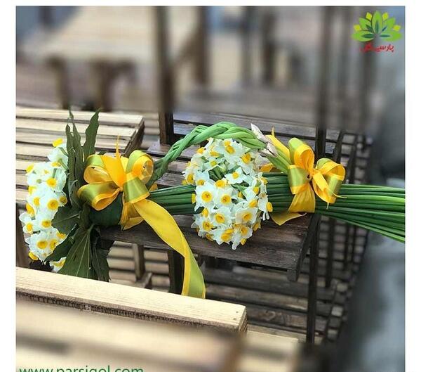 عکس گل نرگس برای هدیه