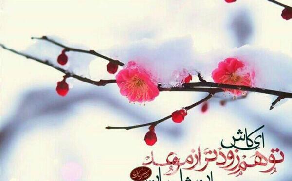 عکس بهار و نوروز