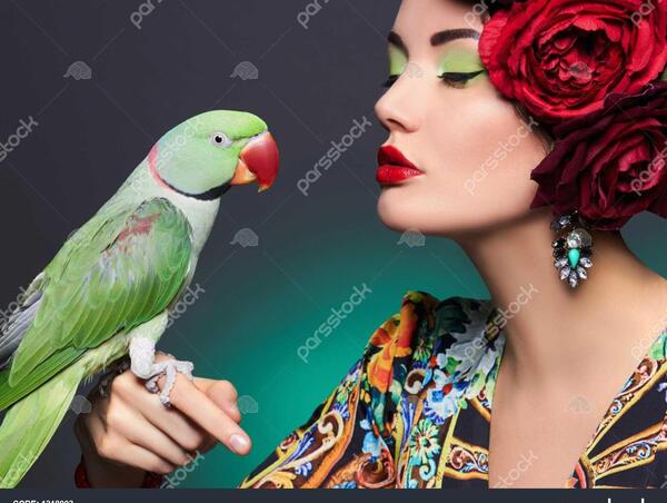 عکس یک طوطی