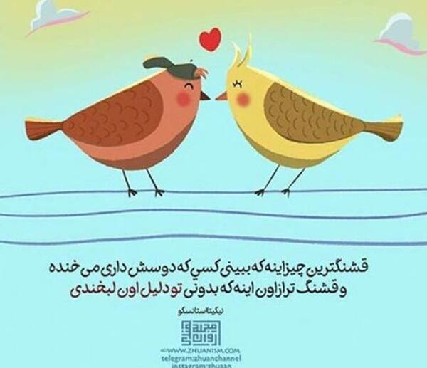عکس های عاشقانه غمگین پرندگان