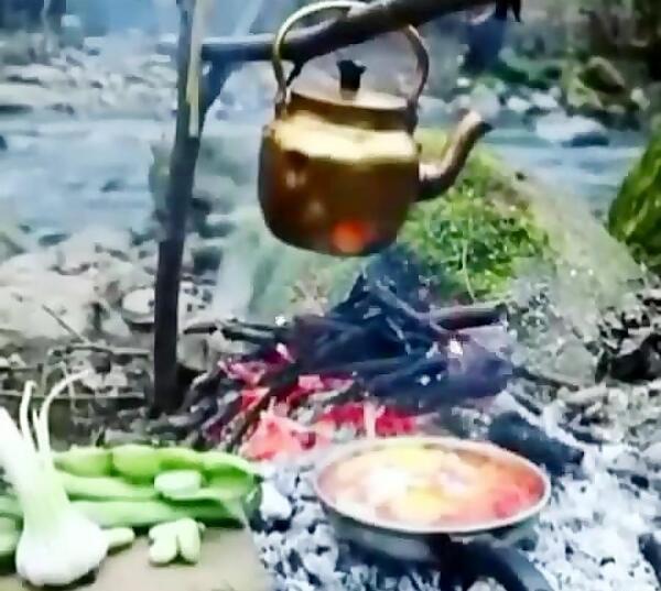 عکس چای در طبیعت
