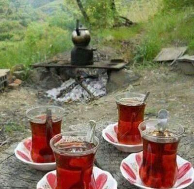 عکس چای در طبیعت