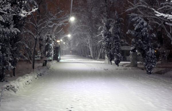 عکس شب برفی