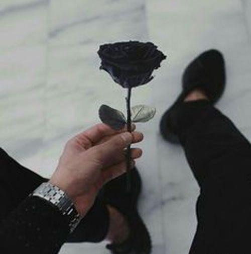 عکس غمگین بدون متن گل