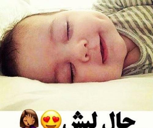 عکس طنز چال گونه
