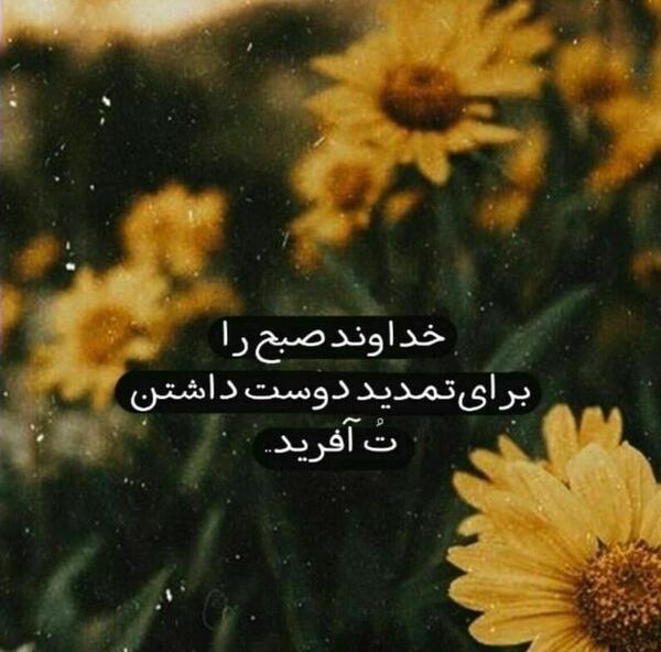 عکس پروفایل زیبا لاکچری