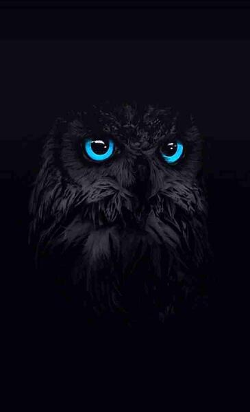 عکس صفحه گوشی تیره