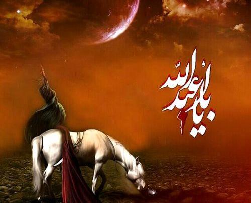 عکس اسب امام حسین علیه السلام