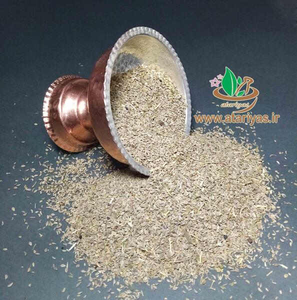 عکس بذر جعفری