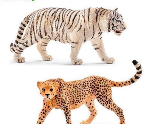 عکس یوز پلنگ سفید