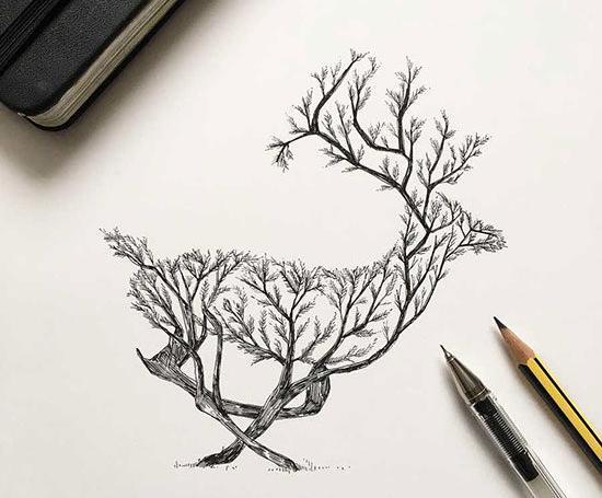 عکس جالب گیاهان