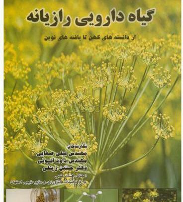 عکس گل رازیانه