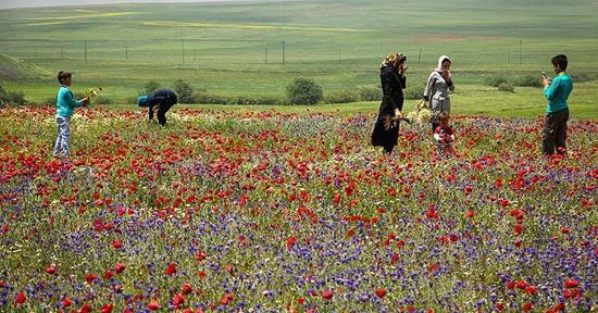 عکس طبیعت اردبیل
