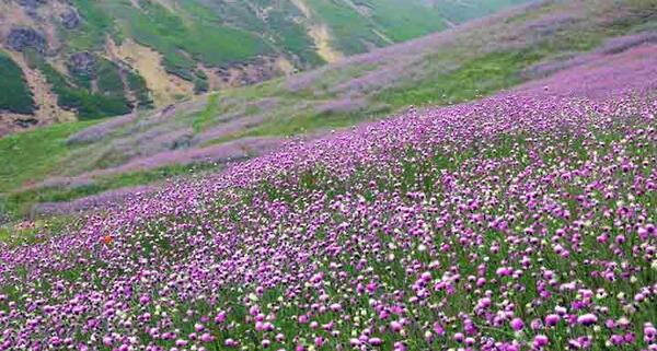 عکس طبیعت اردبیل