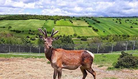عکس طبیعت اردبیل