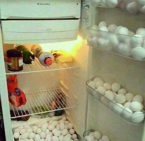 عکس طنز یخچال