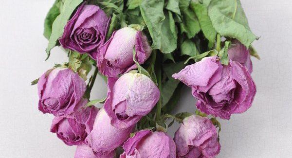 عکس ایده برای گلهای خشک شده