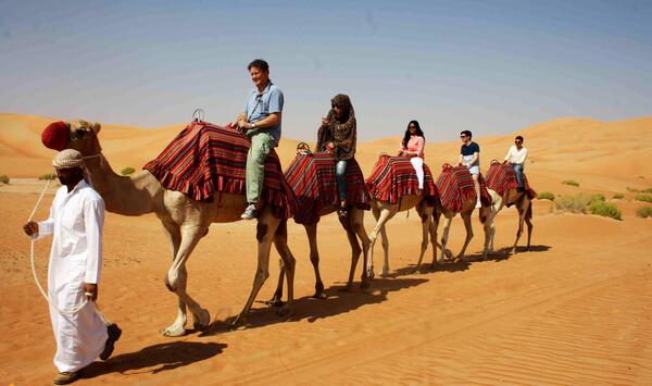 عکس شتر صحرا