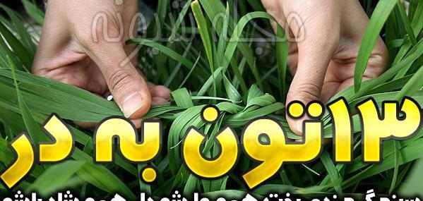 عکس پروفایل روز طبیعت مبارک