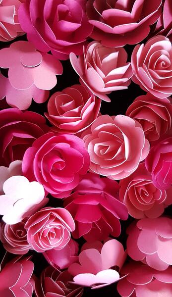 عکس گلهای زیبا برای تصویر زمینه