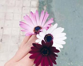 عکس پروفایل شیک ساده دخترانه