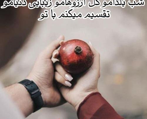 عکس شب یلدا حامد