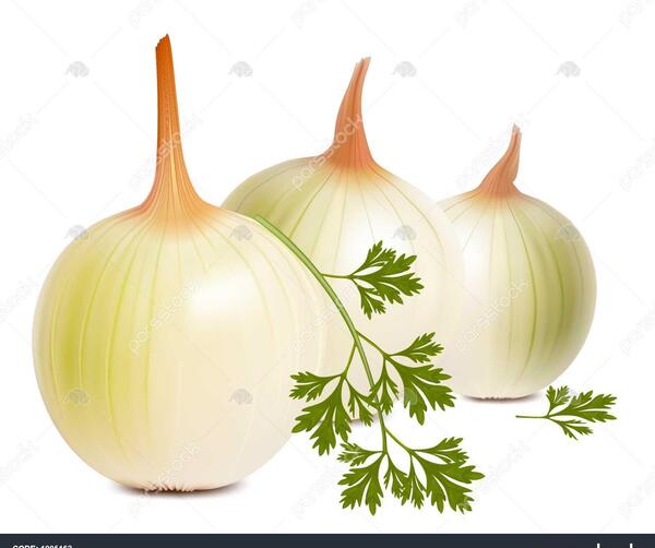 عکس پیاز جعفری