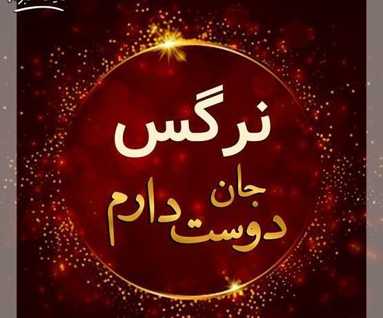 عکس نوشته تولدت مبارک نرگس
