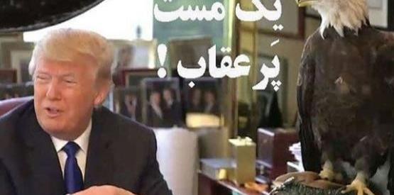 عکس عقاب آمریکا