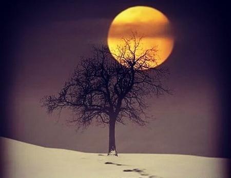 عکس منظره شب برای پروفایل