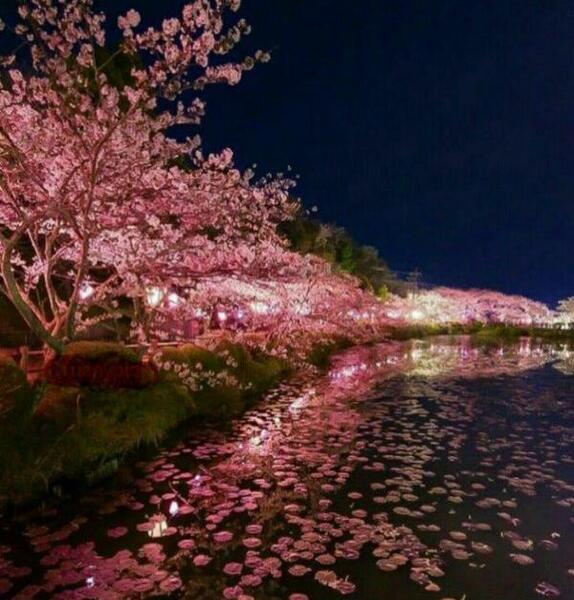 عکس منظره شب برای پروفایل