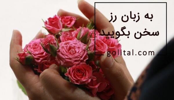 عکس گل رز قرمز نشانه چیست