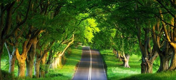 عکس تصویر زمینه طبیعی