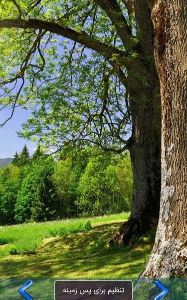 عکس تصویر زمینه طبیعی