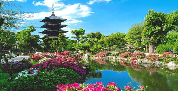 عکس زیبای طبیعت ژاپن