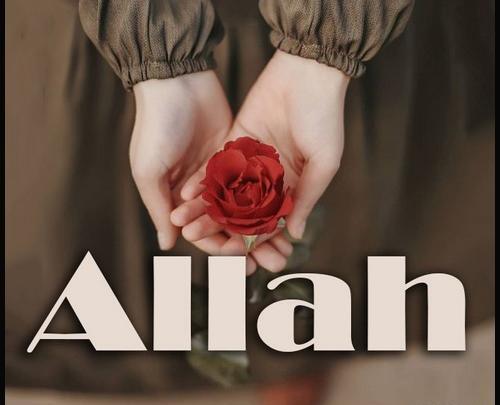 عکس الله ج