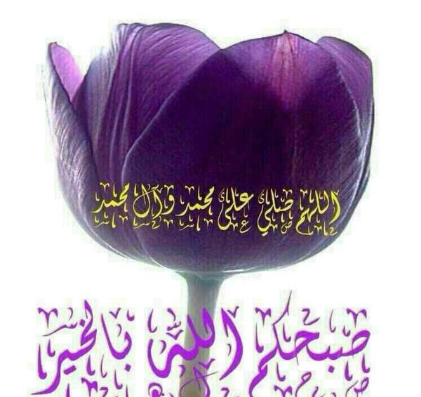 عکس تصاویر صبح بخیر قرانی
