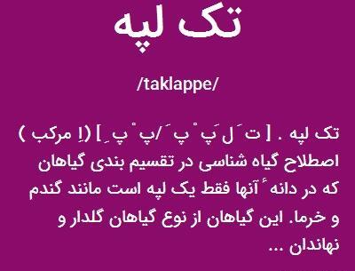 عکس گیاهان تک لپه و دولپه