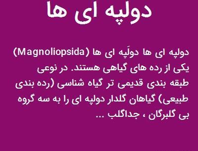 عکس گیاهان تک لپه و دولپه